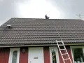 En person sitter på ett tegeltak med en stege bredvid. Taket är täckt av mossa, vilket gör det svårt att avgöra hur många tegelpannor per kvadratmeter som används.