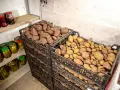 Två staplar svarta plastlådor fyllda med potatis. En hylla med inlagd gurka och sylt står till vänster. Perfekt för att bygga potatislåda.