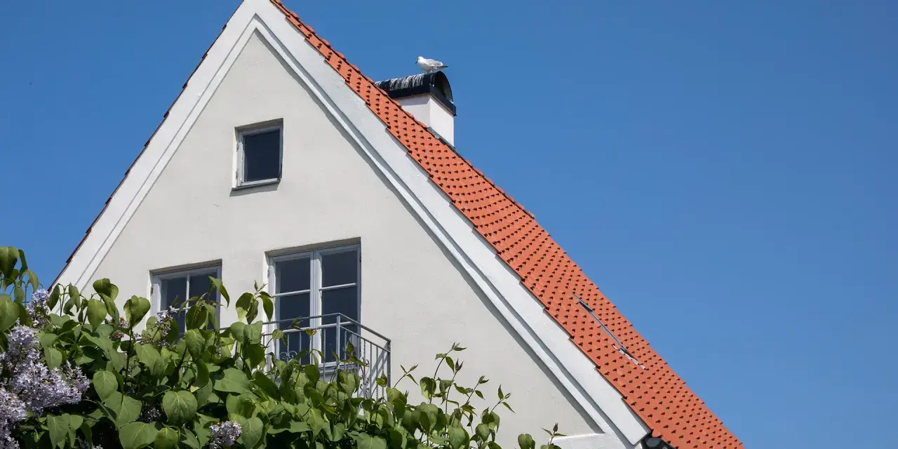 Fasadrenovering puts på ett vitt hus med tegeltak och en mås på skorstenen. Blommor i förgrunden.