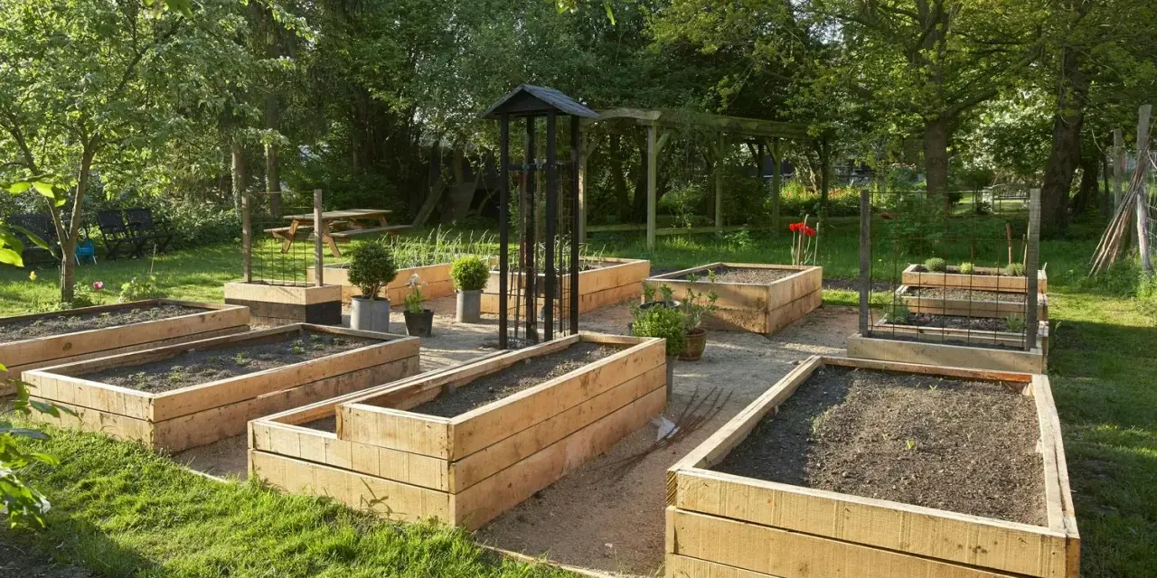 Flera nybyggda odlingslådor med botten står redo för plantering i en lummig trädgård.