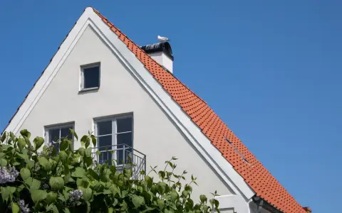 Fasadrenovering puts på ett vitt hus med tegeltak och en mås på skorstenen. Blommor i förgrunden.