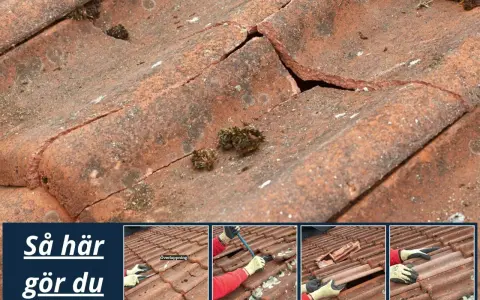 Detaljerad bild av ett tak med spruckna tegelpannor och mossa. Små bilder visar hur man byter takpanna.