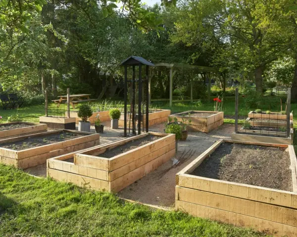 Flera nybyggda odlingslådor med botten står redo för plantering i en lummig trädgård.