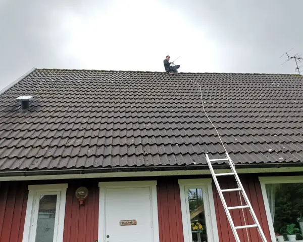 En person sitter på ett tegeltak med en stege bredvid. Taket är täckt av mossa, vilket gör det svårt att avgöra hur många tegelpannor per kvadratmeter som används.