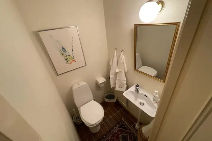 Renovera toalett: Modernt badrum med toalett, handfat, spegel och konst.