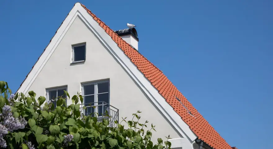 Fasadrenovering puts på ett vitt hus med tegeltak och en mås på skorstenen. Blommor i förgrunden.