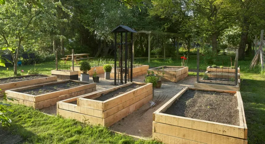 Flera nybyggda odlingslådor med botten står redo för plantering i en lummig trädgård.