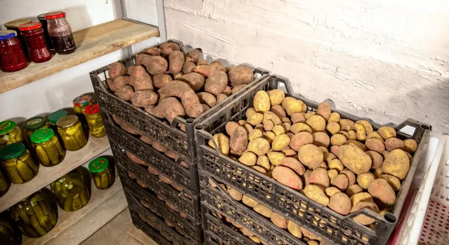 Två staplar svarta plastlådor fyllda med potatis. En hylla med inlagd gurka och sylt står till vänster. Perfekt för att bygga potatislåda.