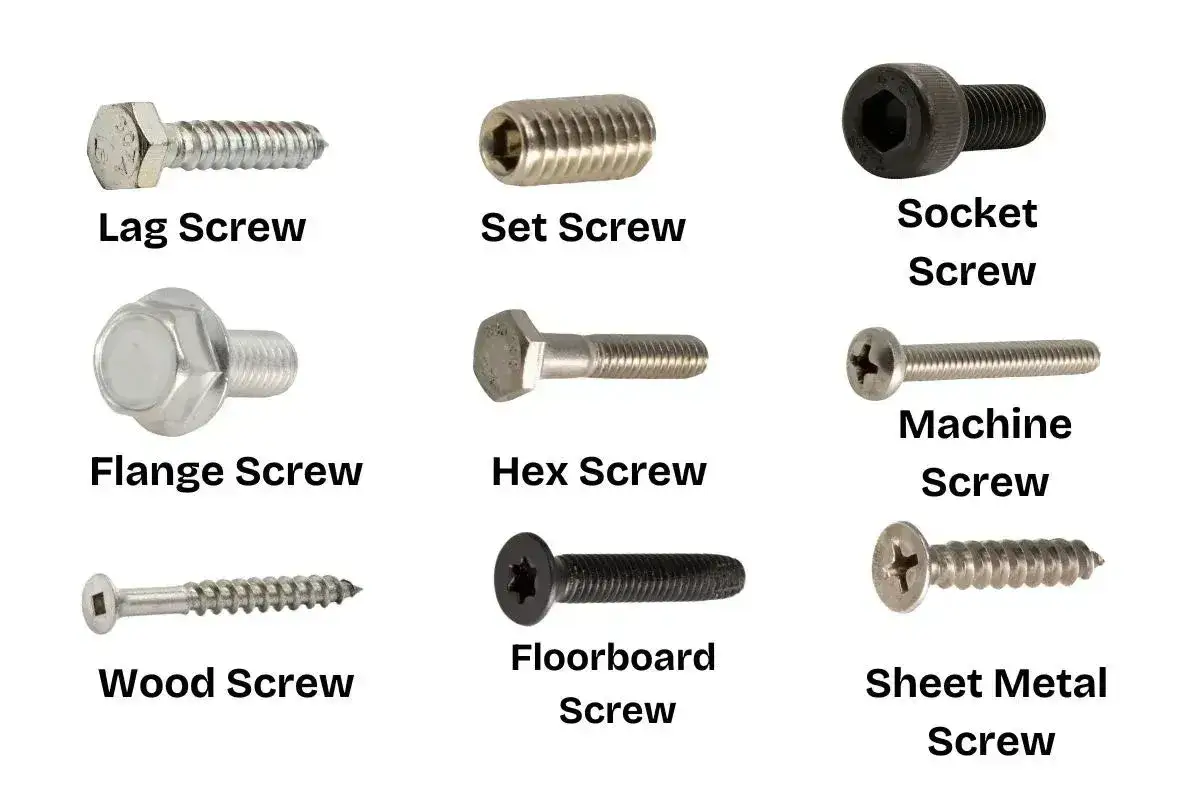 En samling av olika skruvar: lag, set, socket, flange, hex, machine, wood, floorboard och sheet metal.