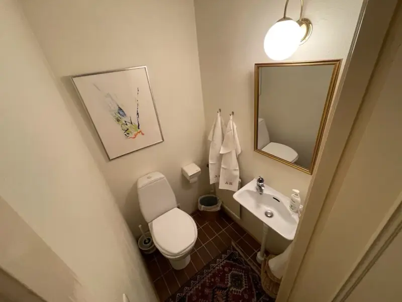 Renovera toalett: Modernt badrum med toalett, handfat, spegel och konst.